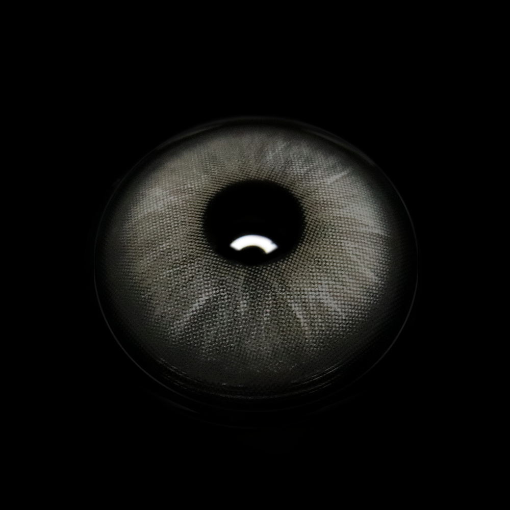 Efigenia Gray Coloured Contact Lenses